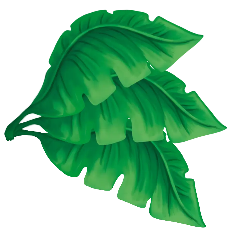 Bouquet décoratif de trois feuilles tropicales orientées vers la droite, élément graphique du jeu de société Qui dit vrai